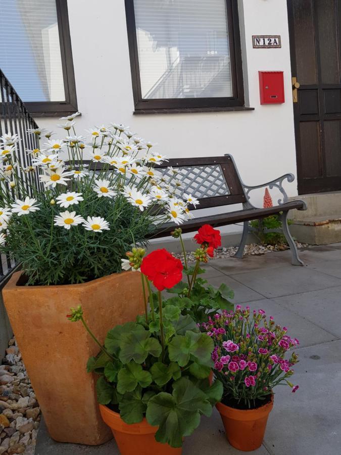 Apartment Lubsches *